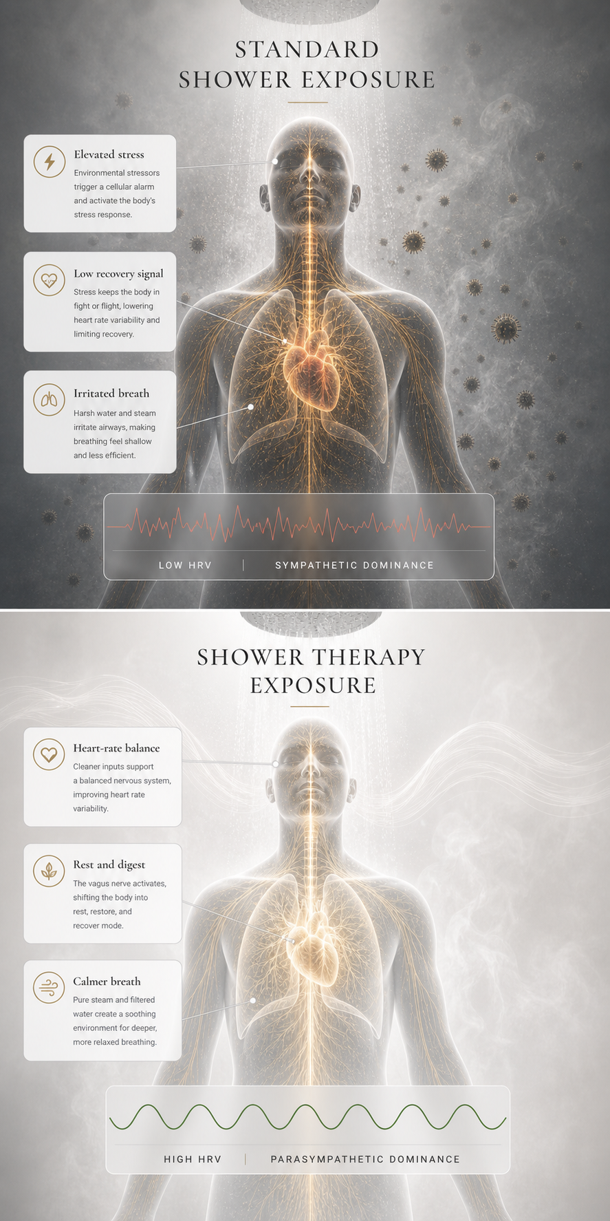 Scientific relaxation comparison showing standard showering and shower therapy exposure on the nervous system